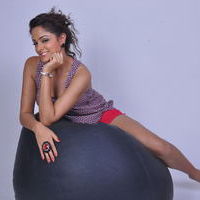 Asmita Sood New Photoshoot Pictures | Picture 72043